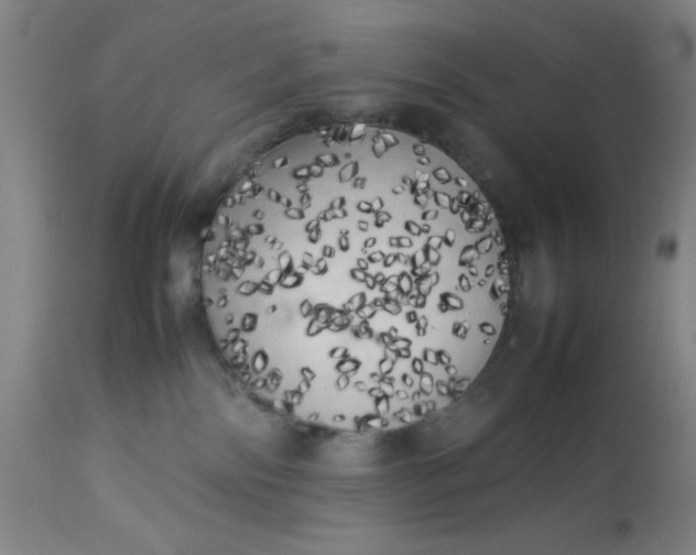 X0000113620138200910091540