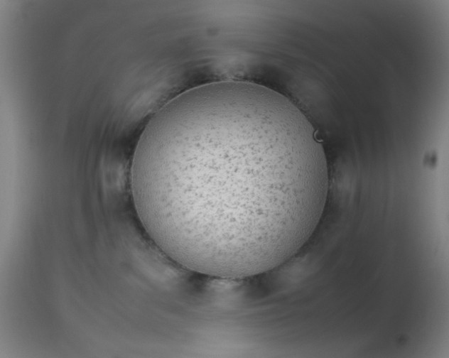 X0000113620139200910091540