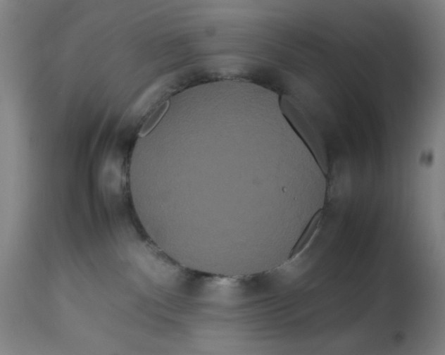 X0000113620140200910091540
