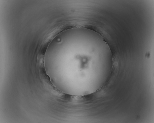 X0000113620141200910091540
