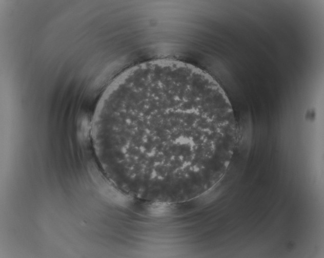 X0000113620142200910091540