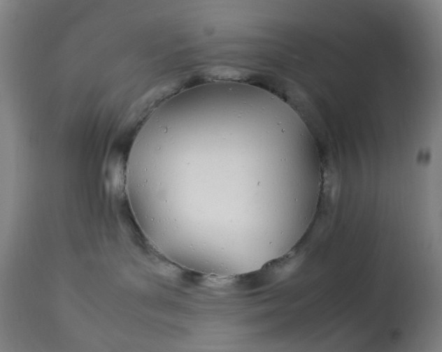 X0000113620143200910091540