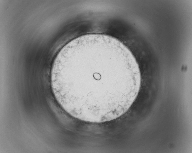 X0000113620146200910091539