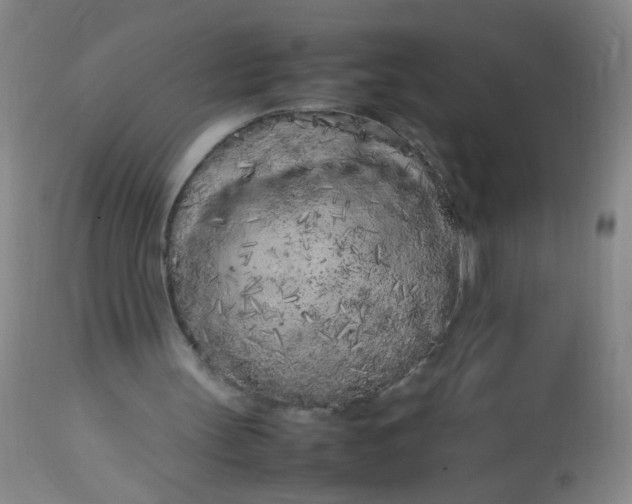 X0000113620147200910091539