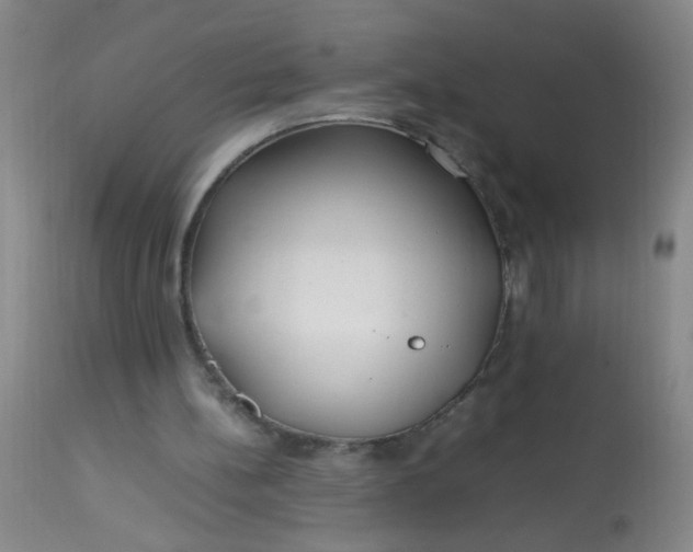 X0000113620148200910091539