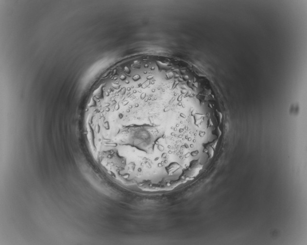 X0000113620149200910091539