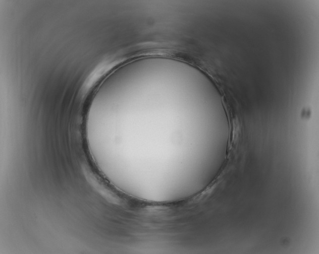 X0000113620150200910091539