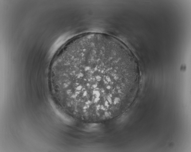 X0000113620151200910091539