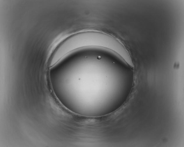 X0000113620152200910091539