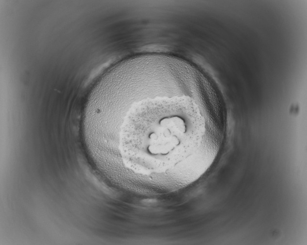 X0000113620153200910091539