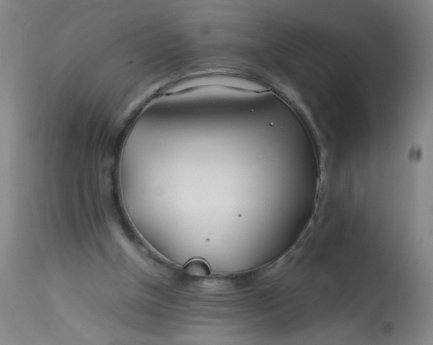 X0000113620154200910091540