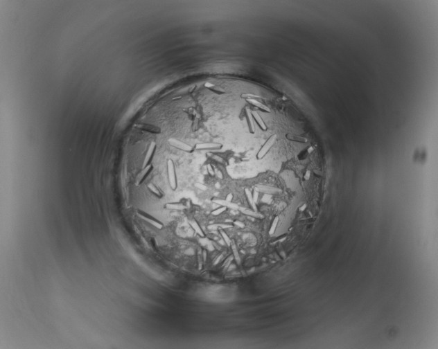 X0000113620155200910091540