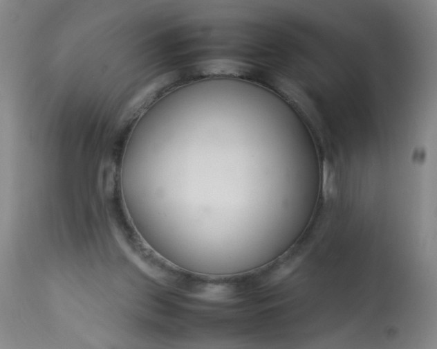 X0000113620157200910091540