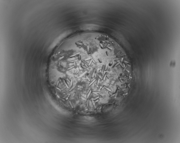 X0000113620159200910091540