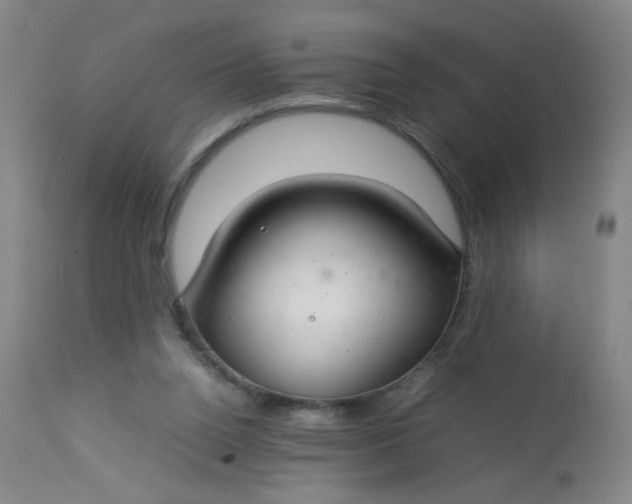 X0000113620160200910091540