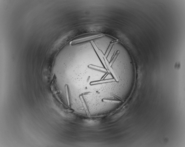X0000113620161200910091540