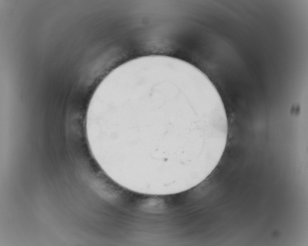 X0000113620162200910091540