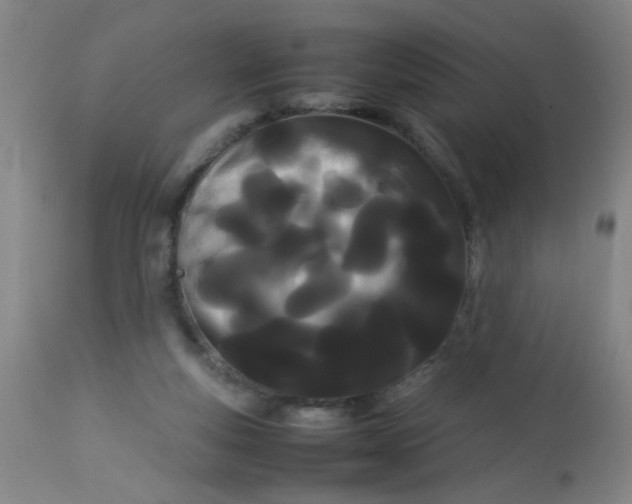 X0000113620163200910091540