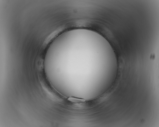 X0000113620164200910091540