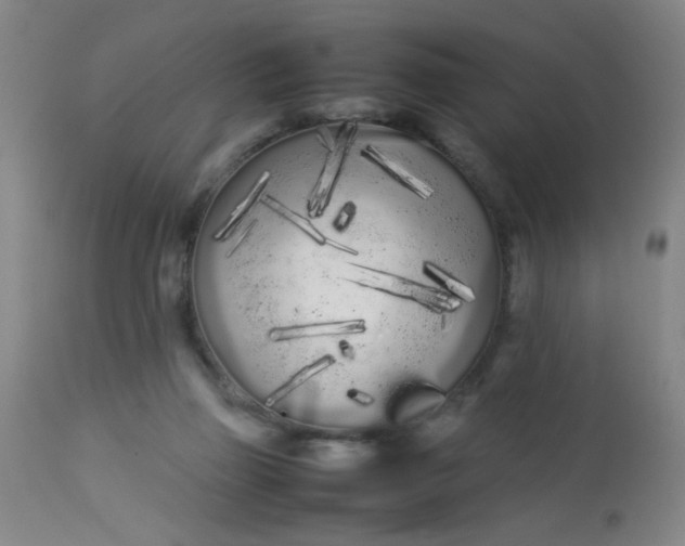 X0000113620165200910091540