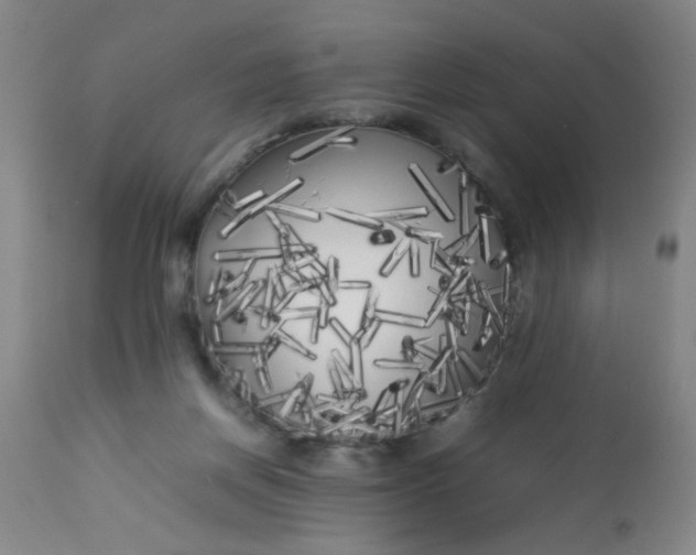 X0000113620166200910091540