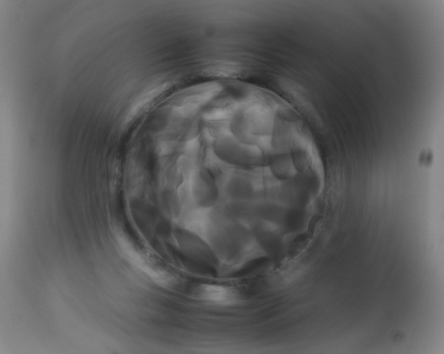 X0000113620167200910091540