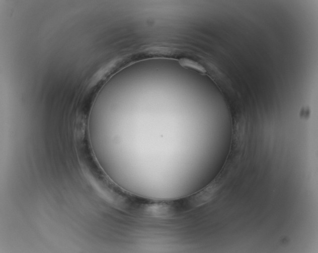 X0000113620168200910091540