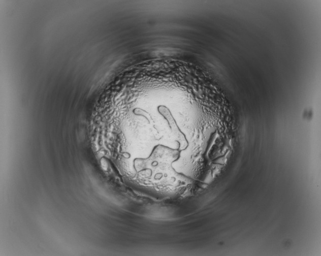 X0000113620169200910091540