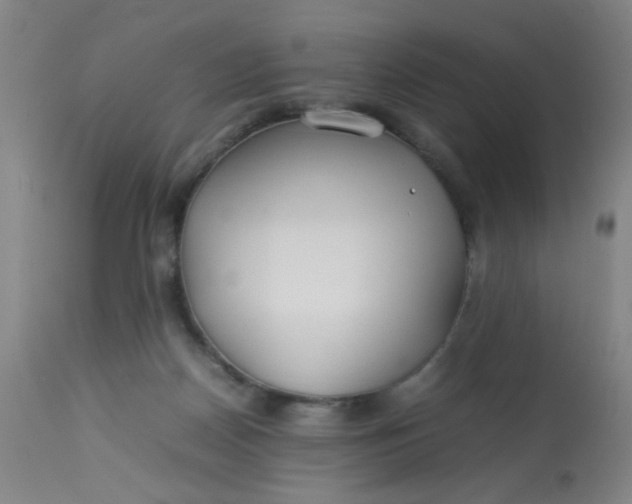X0000113620170200910091540