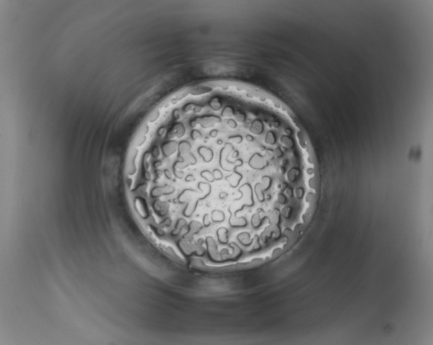 X0000113620171200910091540