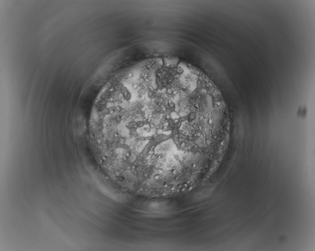 X0000113620173200910091540
