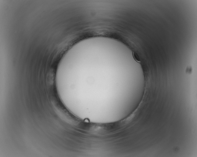 X0000113620174200910091540