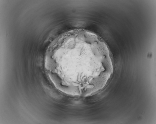 X0000113620175200910091540