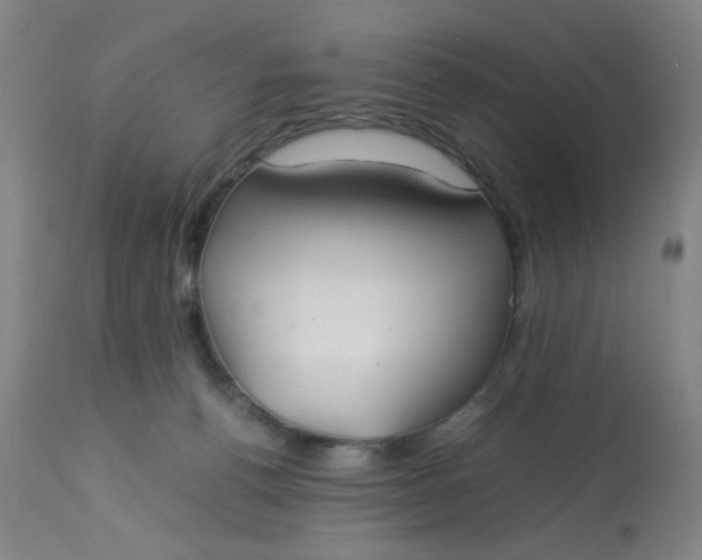 X0000113620176200910091540