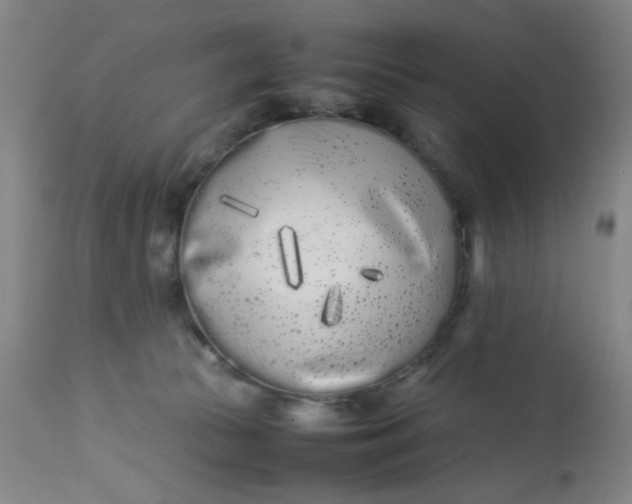 X0000113620177200910091540