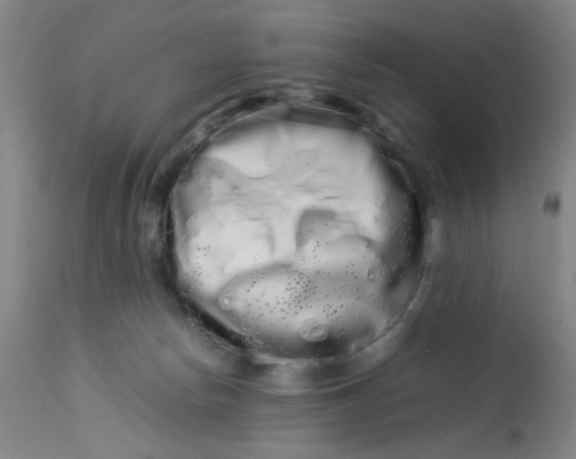 X0000113620178200910091540