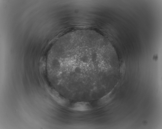 X0000113620179200910091540