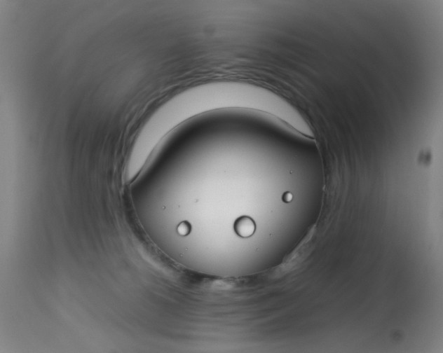 X0000113620180200910091540
