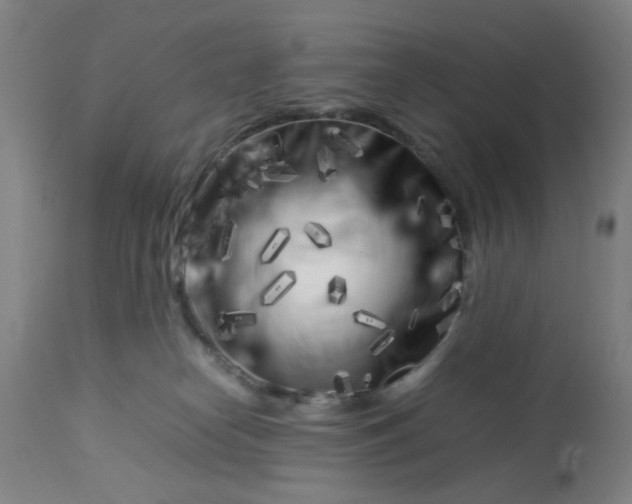 X0000113620182200910091540