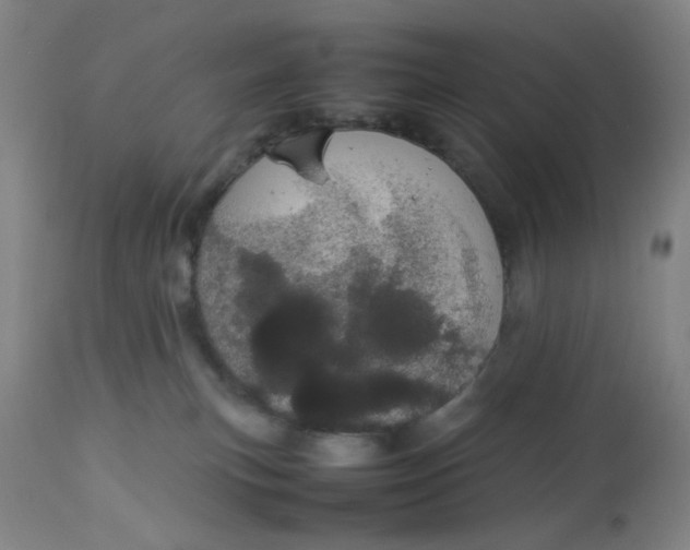 X0000113620183200910091540
