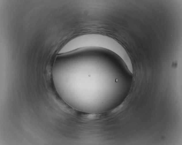X0000113620184200910091540