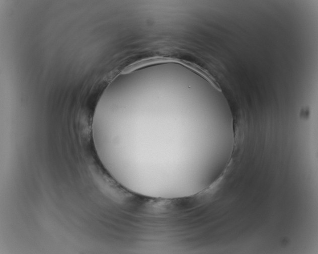 X0000113620186200910091540