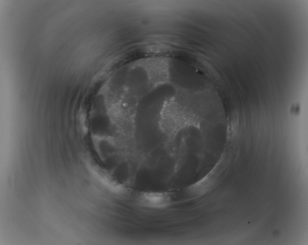 X0000113620187200910091540