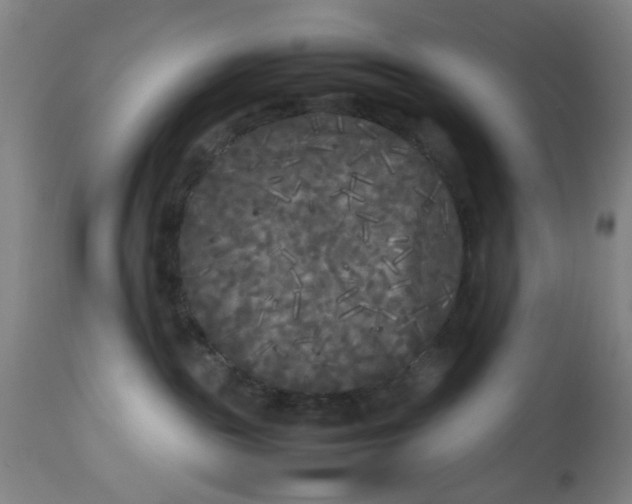 X0000113620189200910091540