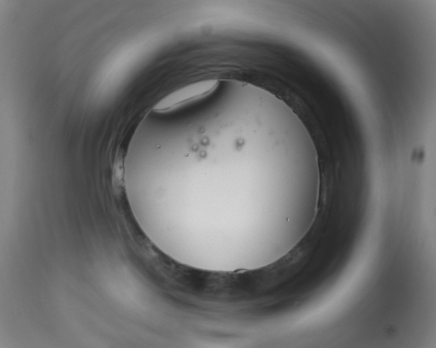 X0000113620190200910091540