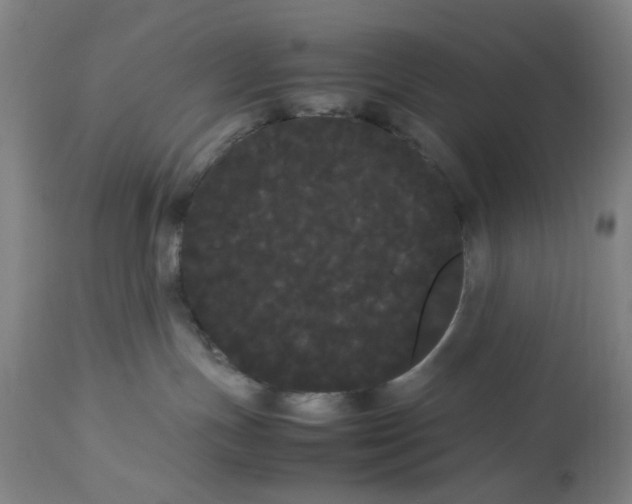 X0000113620191200910091540