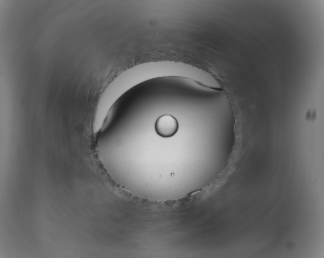 X0000113620192200910091540