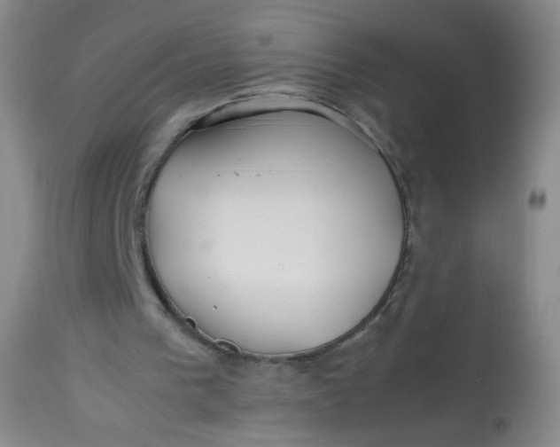 X0000113620193200910091539