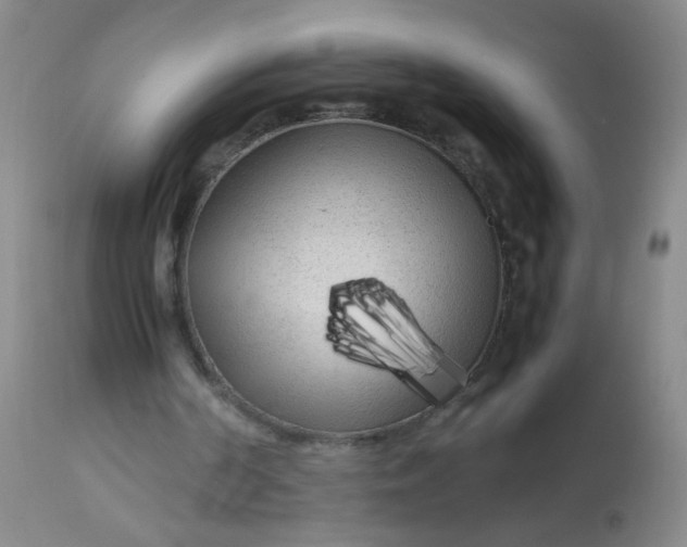 X0000113620194200910091539