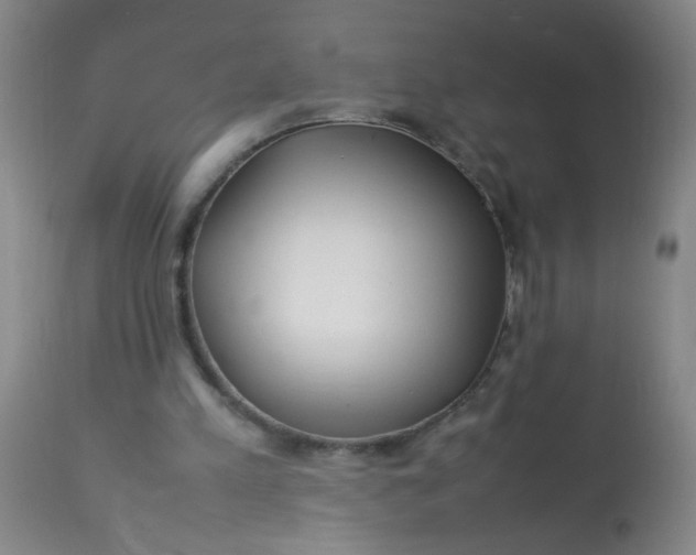 X0000113620197200910091539